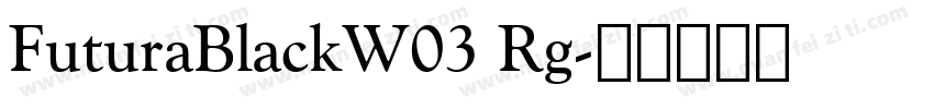 FuturaBlackW03 Rg字体转换